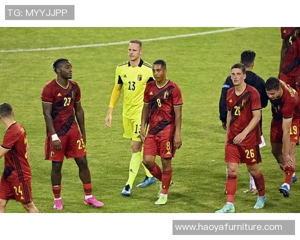 比利时足球队在国际足联世界排名中的表现与发展趋势分析